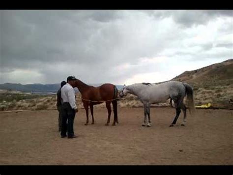 mexican threesome|'mexican threesome' Search .